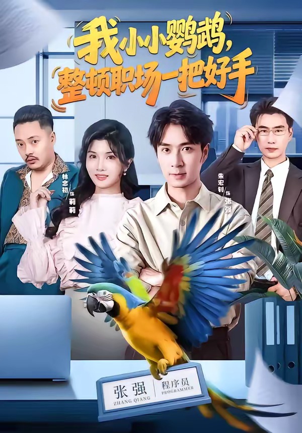 我小小鹦鹉，整顿职场一把好手