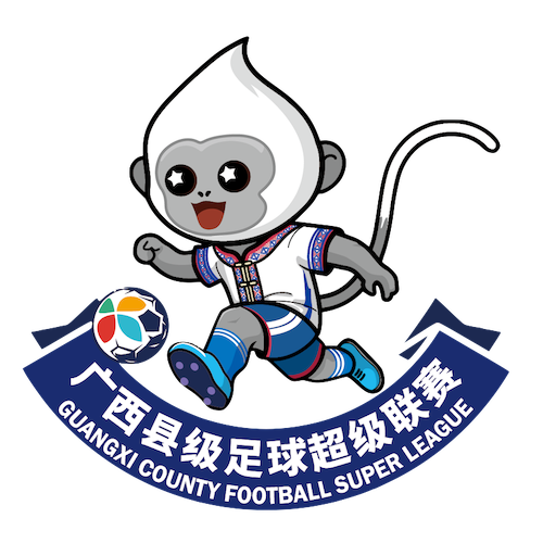 广西县级足球超级联赛 钦州市钦北区队3-1防城港市港口区队20260201